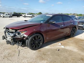  Salvage Nissan Maxima