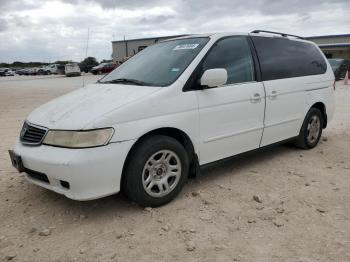  Salvage Honda Odyssey