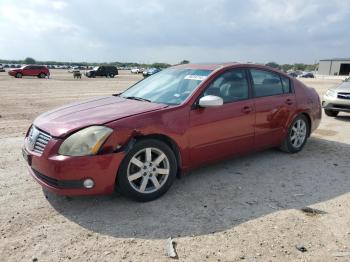  Salvage Nissan Maxima