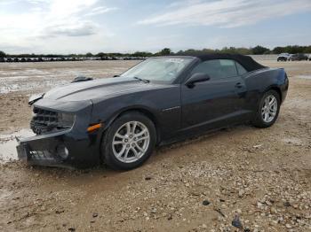  Salvage Chevrolet Camaro