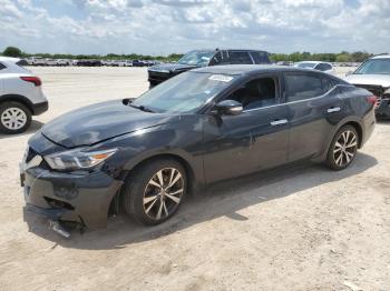  Salvage Nissan Maxima