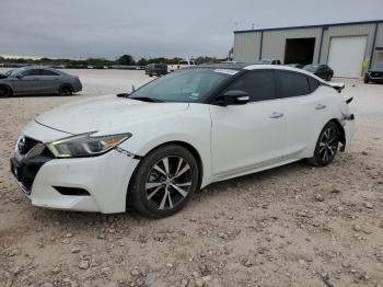  Salvage Nissan Maxima