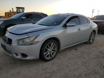  Salvage Nissan Maxima