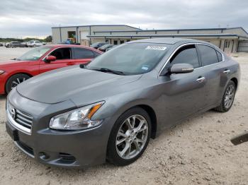  Salvage Nissan Maxima