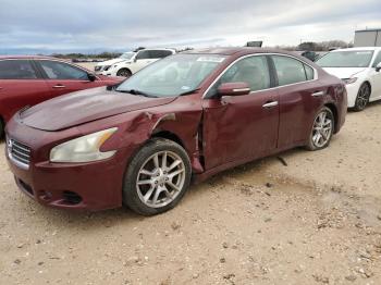  Salvage Nissan Maxima