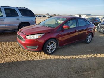  Salvage Ford Focus