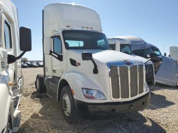  Salvage Peterbilt 579