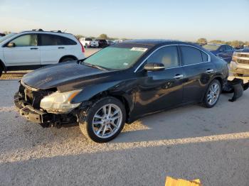  Salvage Nissan Maxima