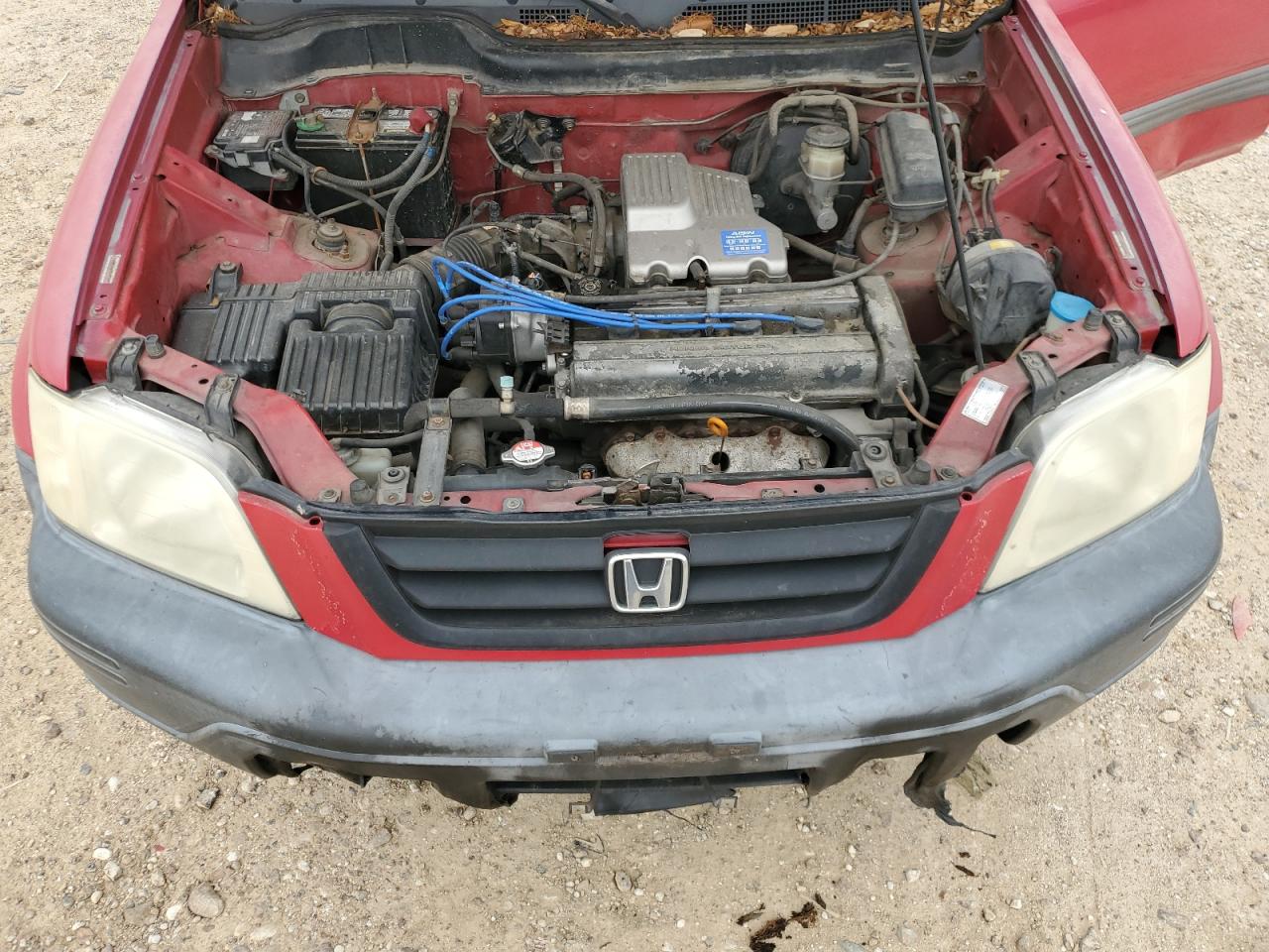 Honda Crv Lx Image 7