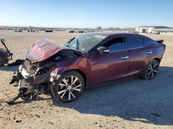  Salvage Nissan Maxima