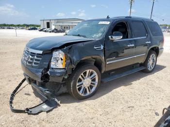  Salvage Cadillac Escalade