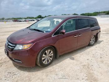  Salvage Honda Odyssey