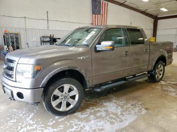  Salvage Ford F-150