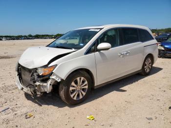  Salvage Honda Odyssey