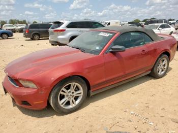  Salvage Ford Mustang