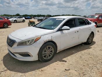  Salvage Hyundai SONATA
