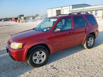  Salvage Ford Escape