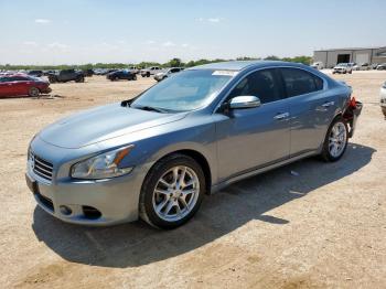  Salvage Nissan Maxima