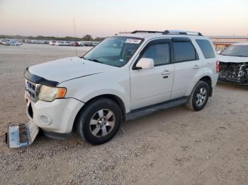  Salvage Ford Escape