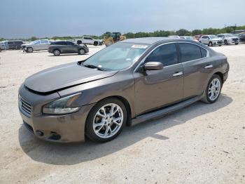  Salvage Nissan Maxima