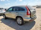 Honda Crv Lx Image 2