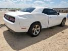 Dodge Challenger Sxt Image 9