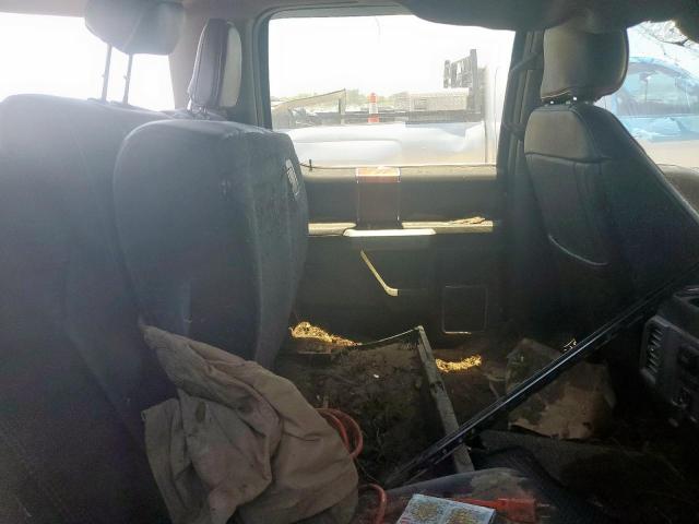 Ford F-250 Super Duty Image 6