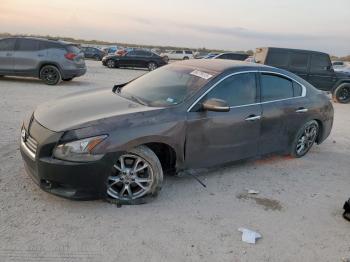  Salvage Nissan Maxima