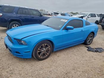  Salvage Ford Mustang