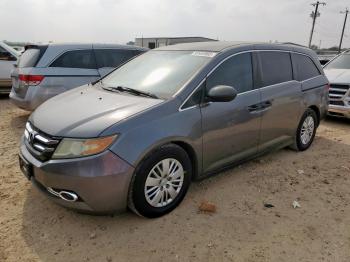 Salvage Honda Odyssey