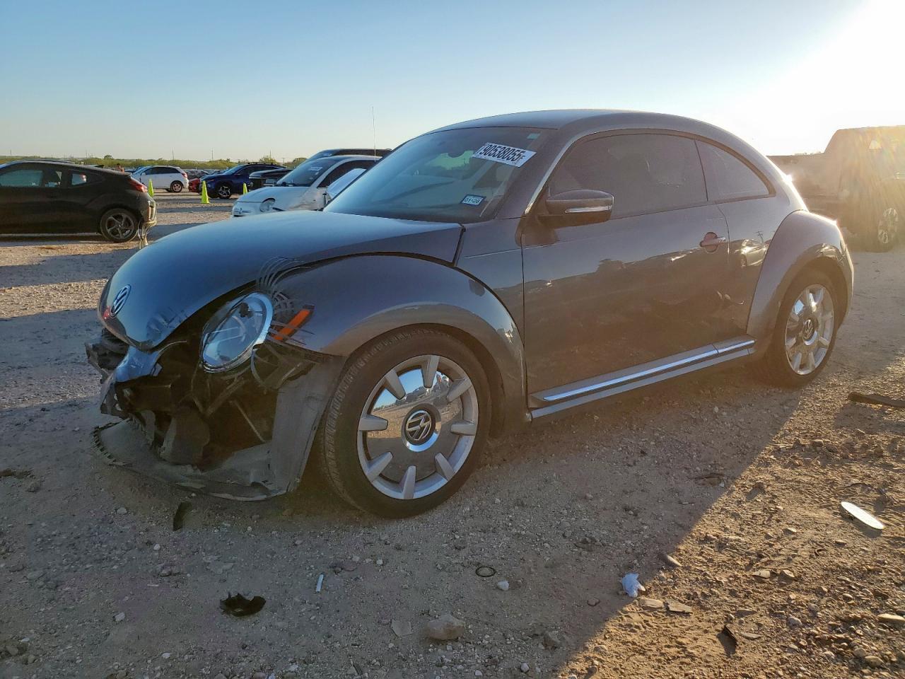 Volkswagen Beetle Image 1