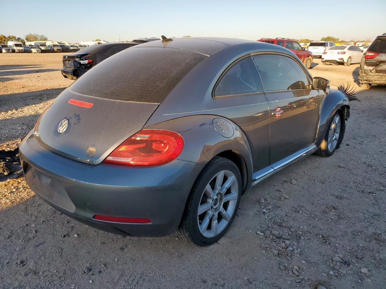 Volkswagen Beetle Image 3