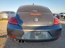 Volkswagen Beetle Image 6