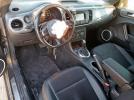 Volkswagen Beetle Image 11