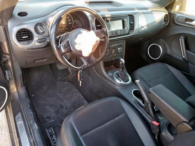 Volkswagen Beetle Image 11