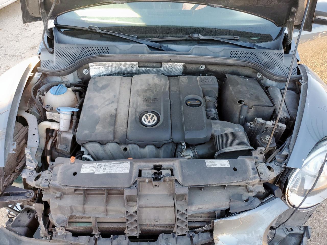 Volkswagen Beetle Image 12