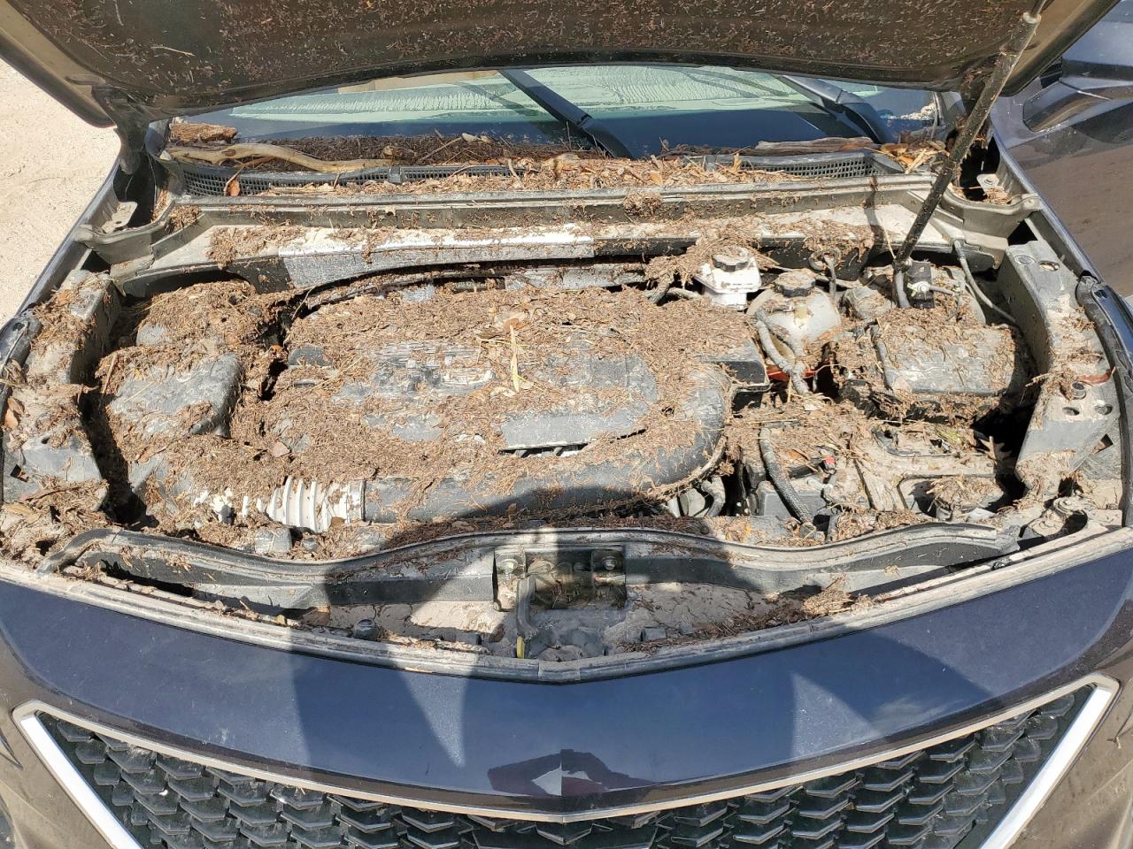 Cadillac XT4 Sport Image 13