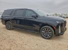 Cadillac Escalade Esv Sport Platinum Image 7