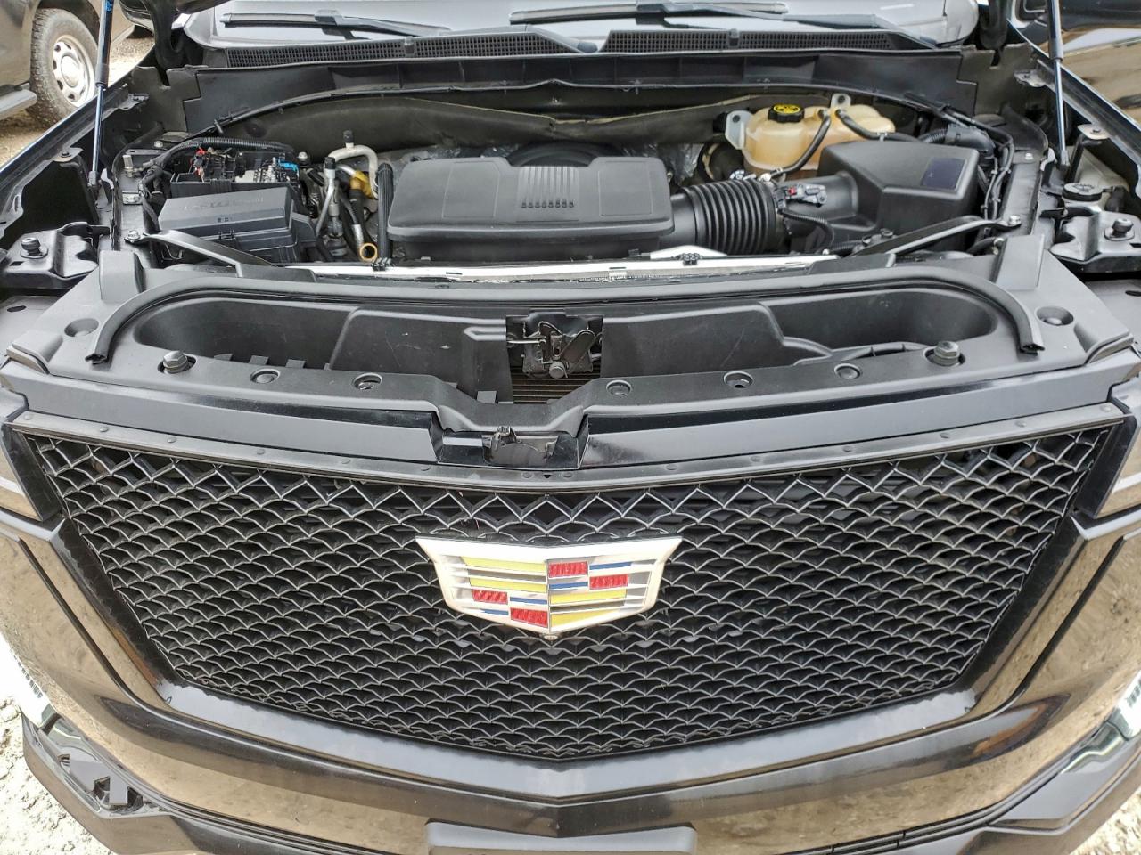 Cadillac Escalade Esv Sport Platinum Image 8