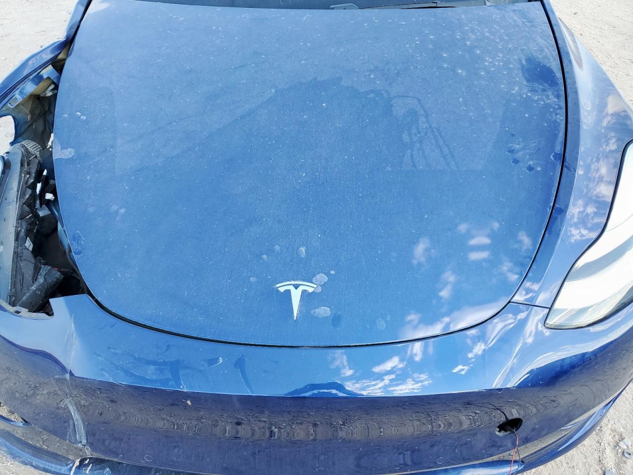 Tesla Model Y Image 3