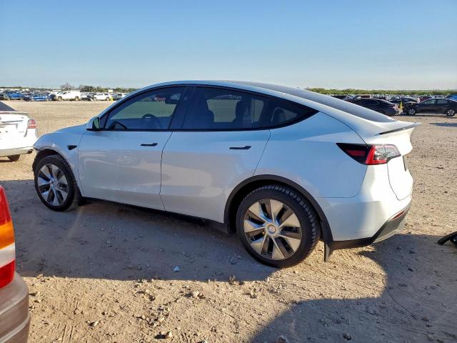 Tesla Model Y Image 2