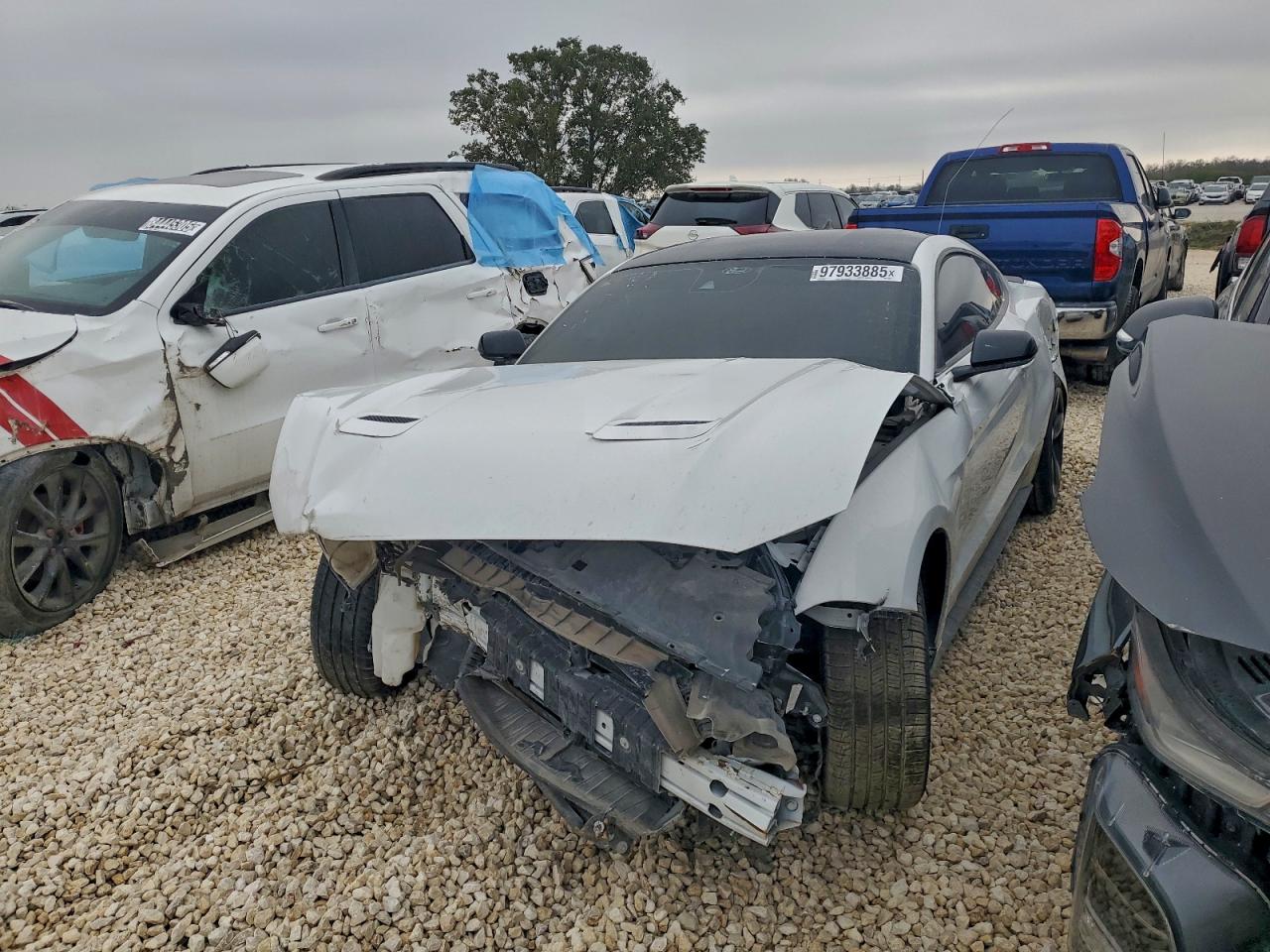 Ford Mustang Image 1