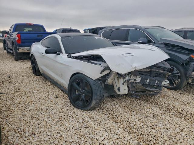 Ford Mustang Image 3