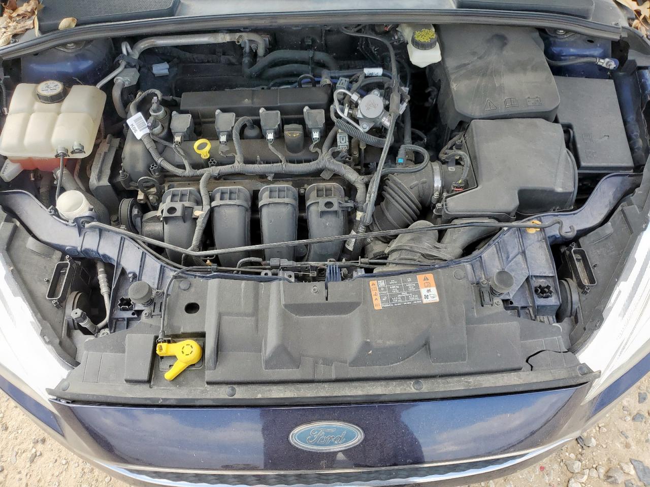 Ford Focus Sel Image 12