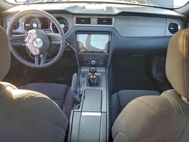 Ford Mustang Image 3