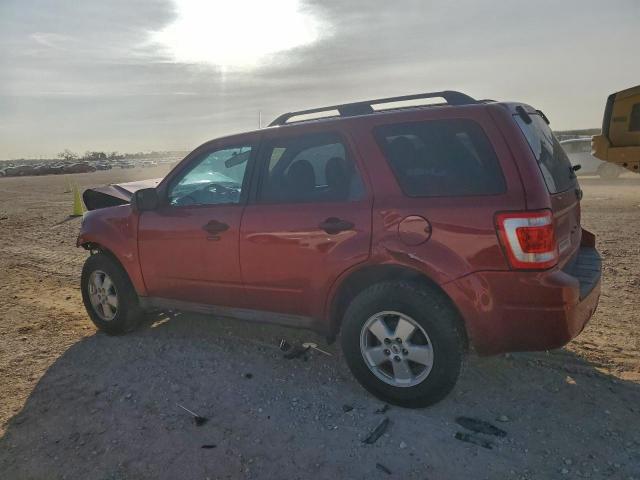 Ford Escape Xlt Image 3
