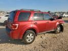 Ford Escape Xlt Image 6