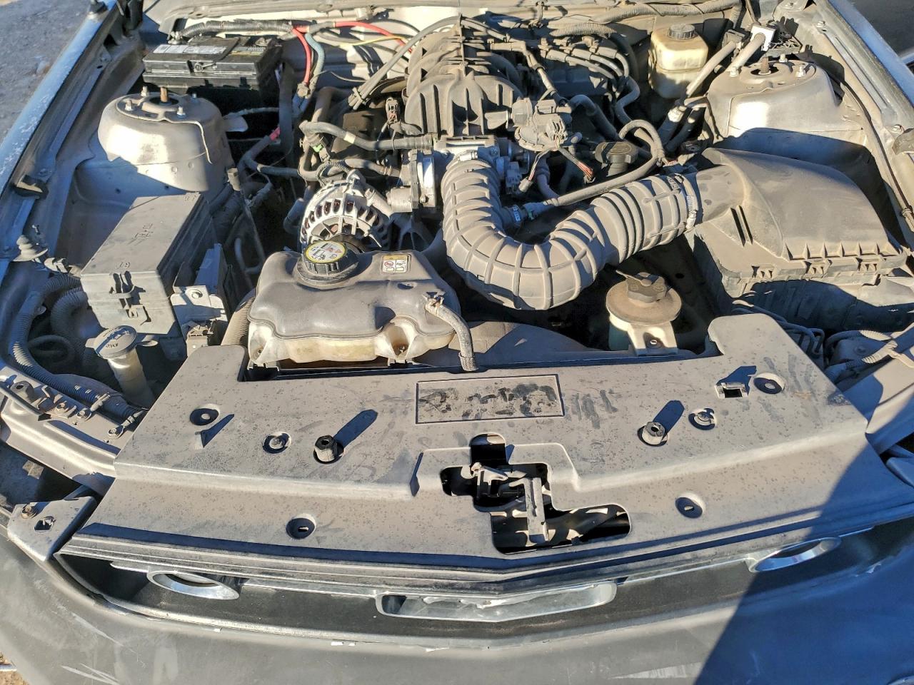 Ford Mustang Image 3