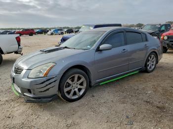  Salvage Nissan Maxima