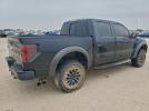 Ford F-150 Svt Raptor Image 8